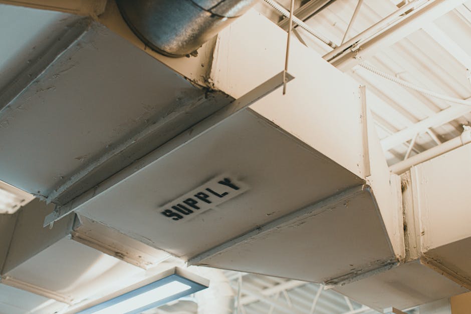 pexels-photo-11538226-1